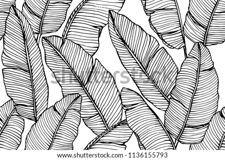 Seamless banana leaf pattern background. Black and white with drawing line art illustration.