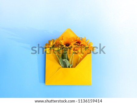 Yellow paper envelope with garden rudbeckia flowers on light blue background. Festive floral template. Greeting card design. Top view. Vintage style. Black-eyed susan plant.