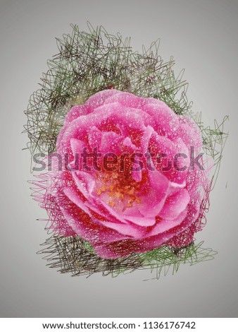 flower rosa dentro del trazado