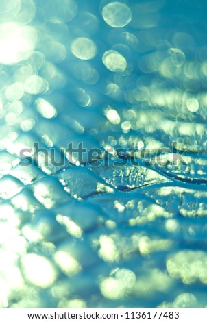 Background of fish scales and blurry bokeh 

