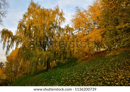 autumn in Moscow Park