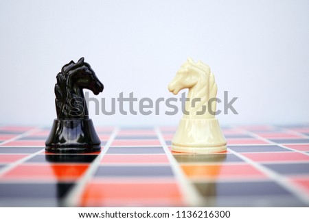 Black and white chess knight facing each other                   
