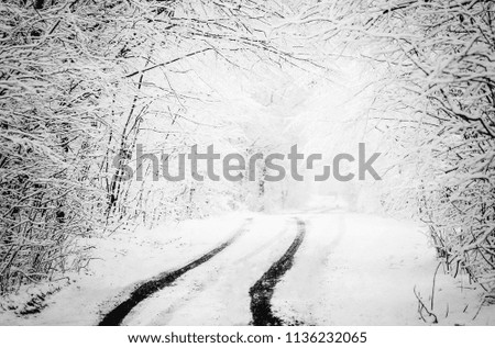 Snowy frozen winter road. Tire tracks in the snow. Forest after sleet. Monochrome winter forest landscape.