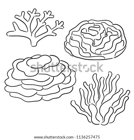 vector set of coral