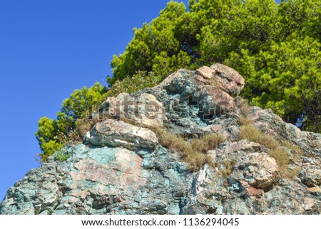Texture of the rock. Large rocks exfoliate from the rock. The roots of the tree hang down
