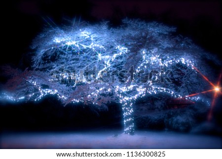 Snow tree lights at night