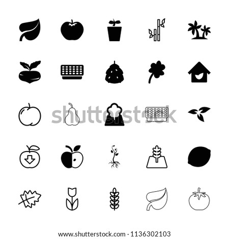 Leaf icon. collection of 25 leaf filled and outline icons such as plant, berry, beet, apple, clover, plant in pot, tree, eco house. editable leaf icons for web and mobile.