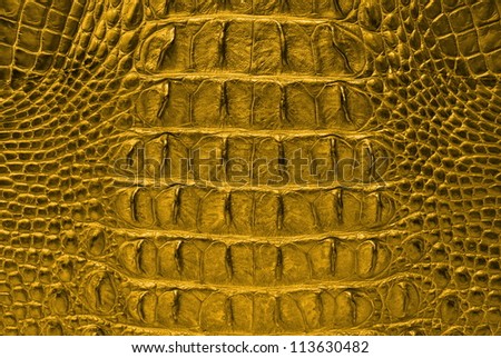 Vintage Gold Crocodile Bone Skin Texture Background.