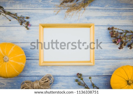 Top view of autumn orange pumpkins and dry flowers with grass thanksgiving background over blue toned wooden table with golden frame mock up and copy space in rustic style, template for text