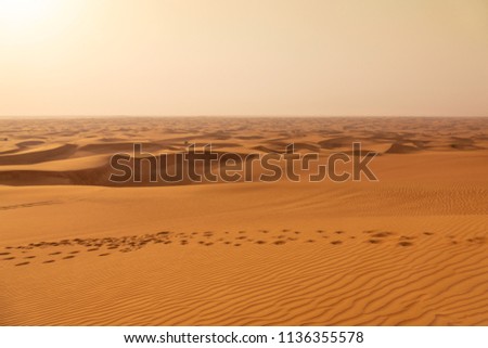 Dubai desert during a safari in June 2018. Picture taken at sunset with a soft dusty sky... maybe a desert storm was coming.  