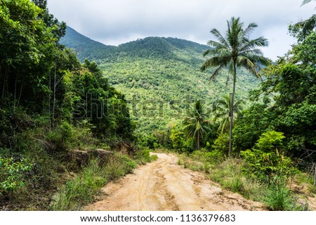 A dirt road down among the jungle and palm trees on a tropical island in clear weather Royalty-Free Stock Photo #1136379683