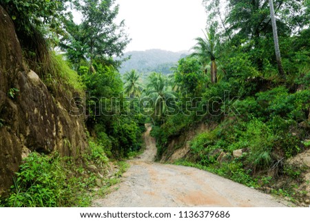 A dirt road down among the jungle and palm trees on a tropical island in clear weather Royalty-Free Stock Photo #1136379686