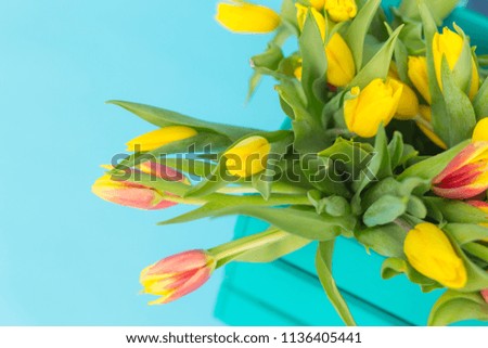 Picture of red, yellow tulips in box
