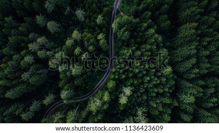 Narrow street between woodland, drone's view Royalty-Free Stock Photo #1136423609