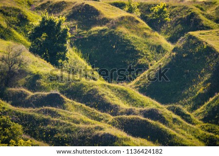 Summer day. In the frame, the countryside. Hills with vegetation at sunset. Horizontal frame. Photographed in Ukraine, Kharkiv region. Color image
