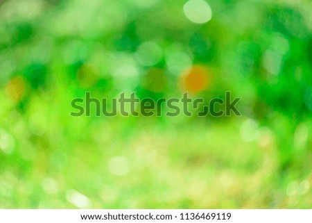 abstract backgrounds,Abstract matrix like background. vivid bokeh in soft color style for background of Christmas light