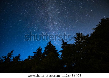 milky-way under the night sky above the forest Royalty-Free Stock Photo #1136486408