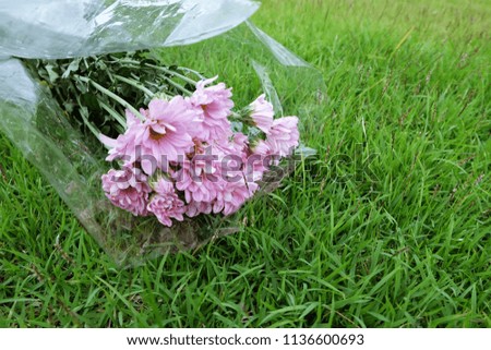Beautiful Flower bouquet with green grass background