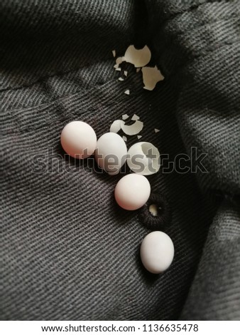 A photo of lizard eggs hiding in an unused cap, some of them was hatched. 