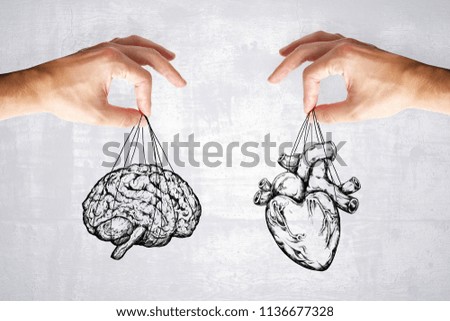 balance your life, logic and feel concept with heart and brain in hands at grey background.  Royalty-Free Stock Photo #1136677328