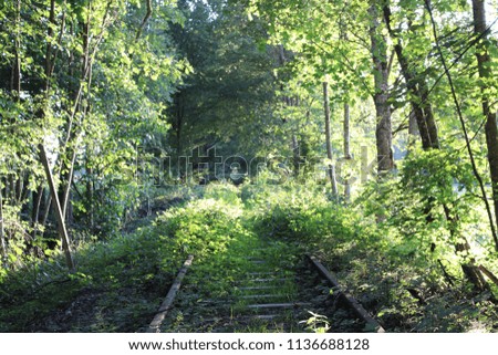 Old railway line set aside
