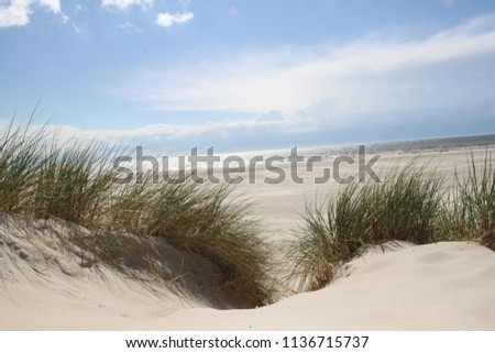 Dunes on the beach of Opal Coast in France
