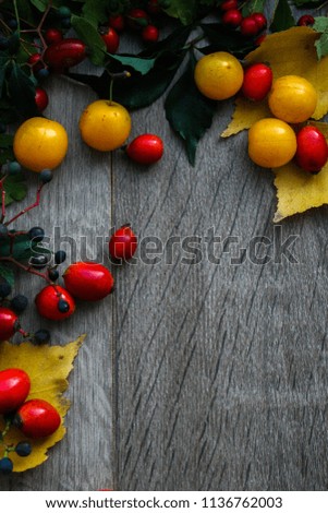 Autumn berries and leaves on a gray background. Autumn background.