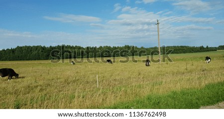 Driving in car through land with different landmarks, fields, buildings, textures and backgrounds. Scenics of beautiful outdoor views. Travelling in various parts of landscape, terrain, environment. 
