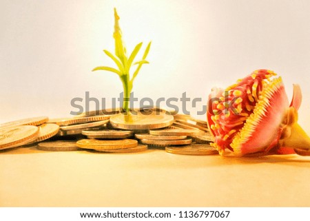 Currency with flowers used for investment, teaching, fantasy, gift banks.