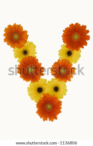 Flowers arranged into the shape of the letter V on a pure white background.