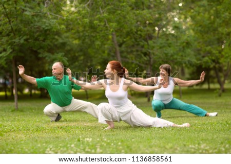 group of people practice Tai Chi Chuan in a park.  Chinese management skill Qi's energy. Royalty-Free Stock Photo #1136858561