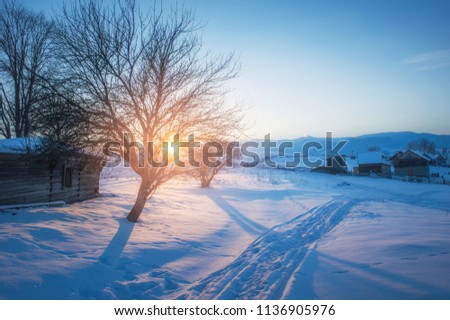 amazing winter landscape. natural background with sunny tree in mountain