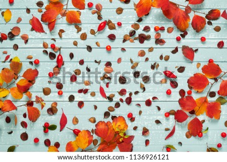 Autumnal frame for your idea and text. Autumn dry twigs with leaves of yellow, red, orange and small leaves of bright shrubs, located along the perimeter of the frame on an old wooden board