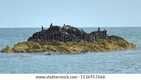 Cormorants perched on rocks off Donabate beach, Dublin, Ireland, surrounded by the Irish Sea