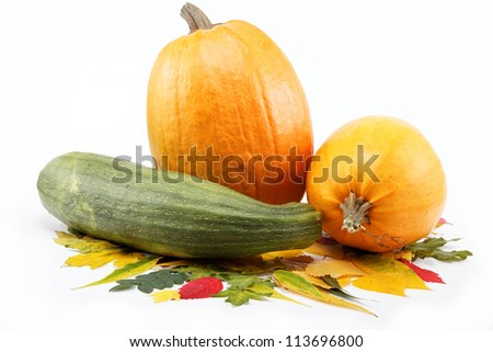 Yellow pumpkin on a white background.