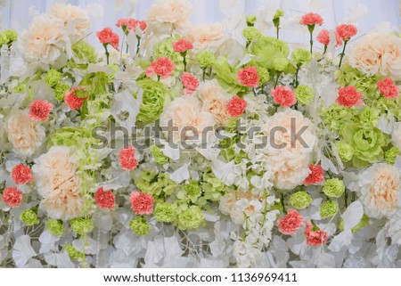 wedding decoration flower background,  colorful background, fresh rose
