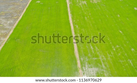 Aerial view from flying drone of Field rice with landscape green pattern nature background, top view field rice
