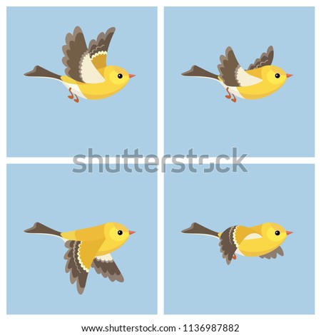 
Vector illustration of cartoon flying American Goldfinch (female) sprite sheet. Can be used for GIF animation 