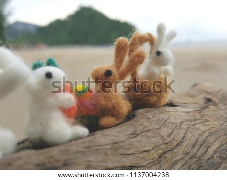 The rabbits are on the beach
