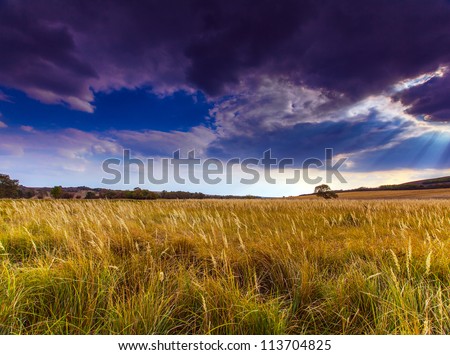Autumn rural scenery with wide field and stormy sky