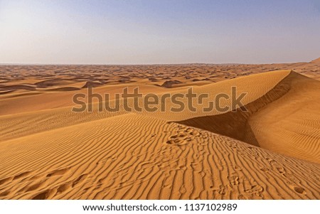 Picture of the Dubai desert, during a safari with offroad jeep. Afternoon shot.