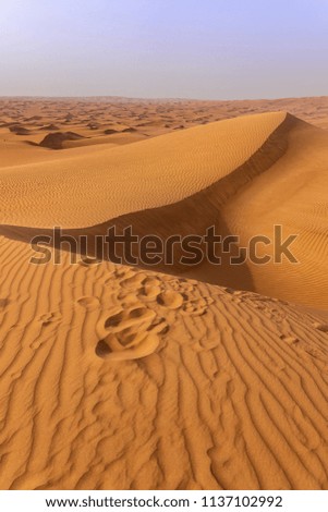 Dubai desert during a safari in June 2018. Picture taken before dusk, with various colours on the sky and lot of sandy waves. Portrait mode with my mirrorless camera.