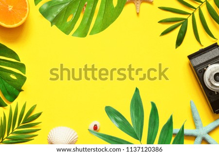 Tropical Background. Palm Trees Branches with starfish and seashell on yellow background. Travel. Copy space.