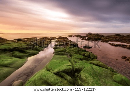 view of beach with beautiful rocks covered by green moss by the beach during sunset.