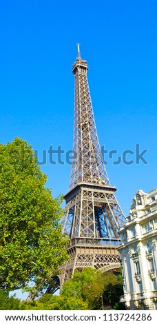 Eiffel tower behind the tree