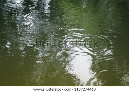rain drops on the water