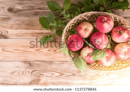 Ripe red apples with leaves in a basket. Autumn harvest. Close-up. Copy space. Top view
