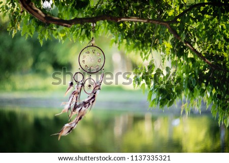 Dreamcatcher, american native amulet in forest. Shaman Royalty-Free Stock Photo #1137335321