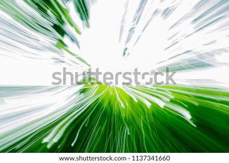 abstract  Green Background