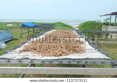 A picture of a keropok or fish crackers been dried under the hot sun in the open field with South China Sea insight.